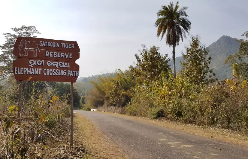 HOW A TIGER RESERVE IS SAVING AN INDIAN VILLAGE FROM SEX WORK