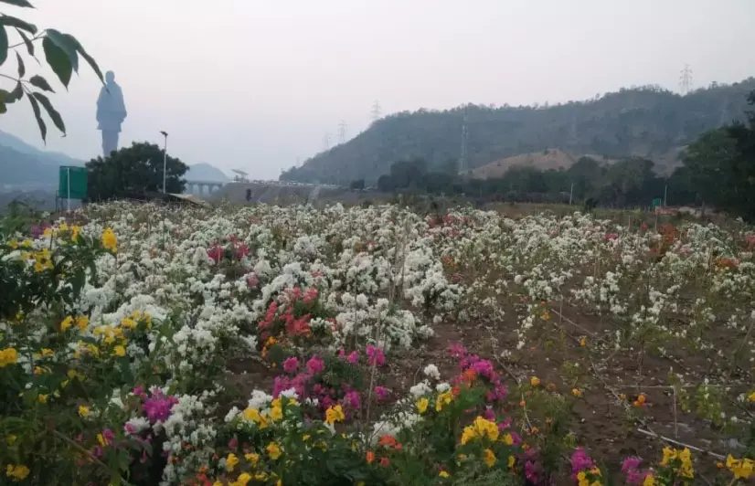 Tourists flock to world’s tallest statue amid protests by locals