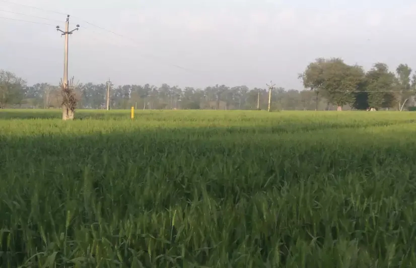 India-Pakistan Kartarpur corridor in trouble