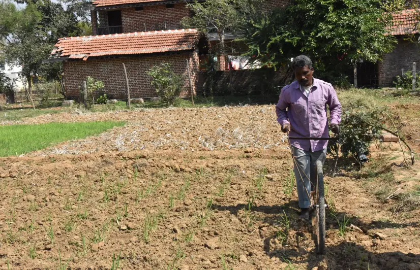 Revival and absence of Bengaluru’s traditional crop varieties