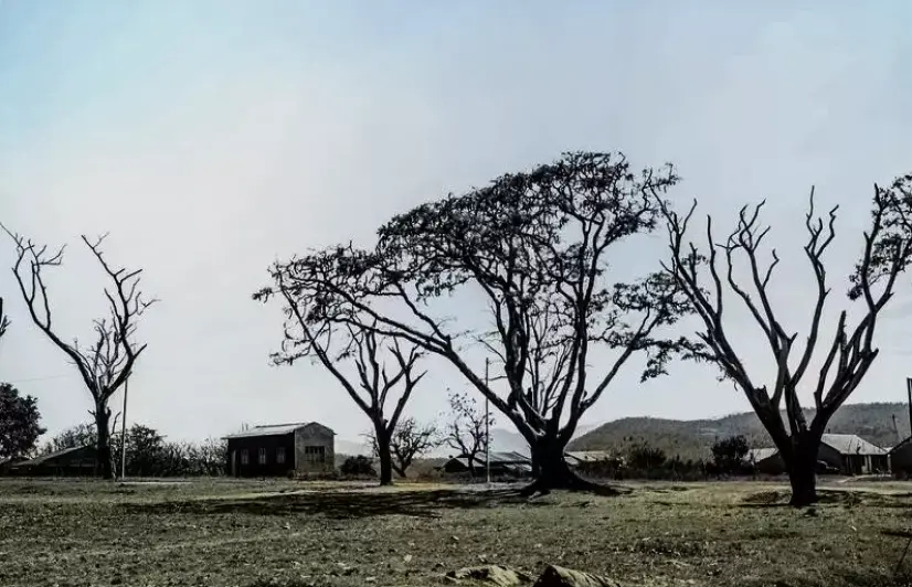 Karnataka hit by scanty rain over decades