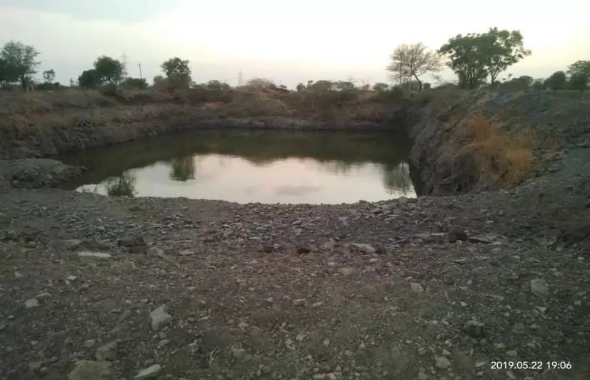 Illegal industrial and mining activities continue in great Indian bustard’s habitat in Maharashtra