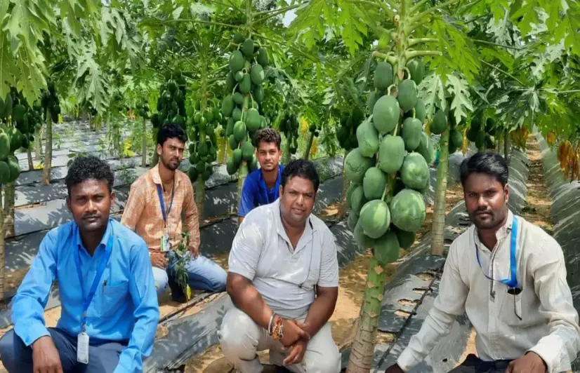 Educated youth from Jharkhand's coal town return to farming, provide jobs to migrants
