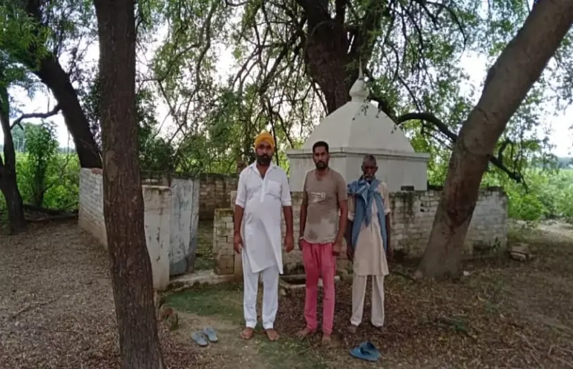 Countless trees thrive in the protected green memorials of Punjab 