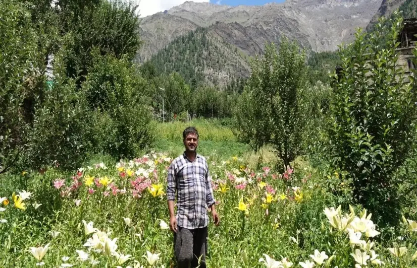 Pandemic wilts Himachal's floriculture industry