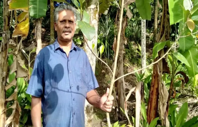 In this panchayat in Wayanad, tree banking scheme hopes to pave way for carbon neutrality 