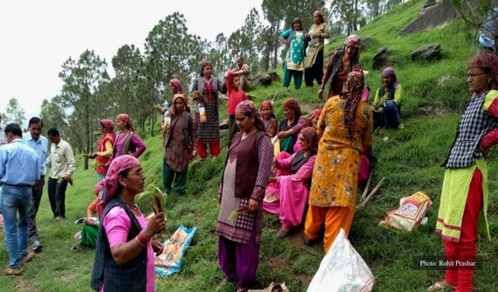 Nanj natives bunch together to revive a lost forest for fodder