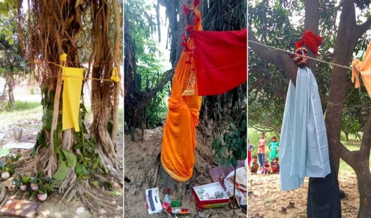 A mix of tradition, conservation makes tree weddings in UP villages unique