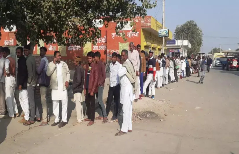 Farmers face urea fertiliser shortage during Rabi season in Rajasthan