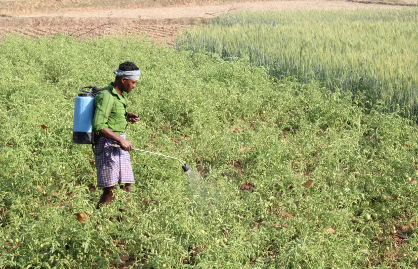In Jharkhand, tribal farmers fail to receive benefits of PM Kisan scheme