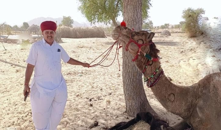 A give-and-take that keeps Khejri trees, Rajasthan farmers in good nick