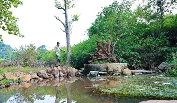 Poor access to forest resources welfare schemes gives juangs of kendujhar a hard time
