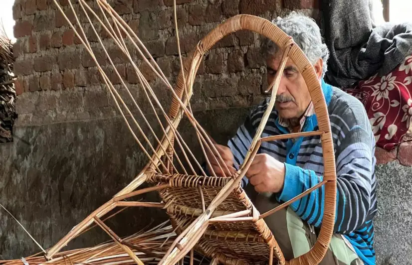 Willow craft wilting under erratic weather in Kashmir