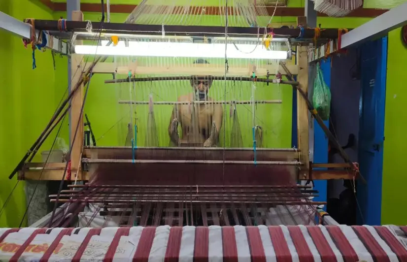 Negamam’s handloom weavers say GI tag hasn’t changed their lives