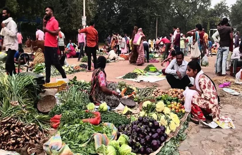 Dilemma Faced By Poor Farmers In Bundelkhand: Grow Organic While Selling Non-Organic