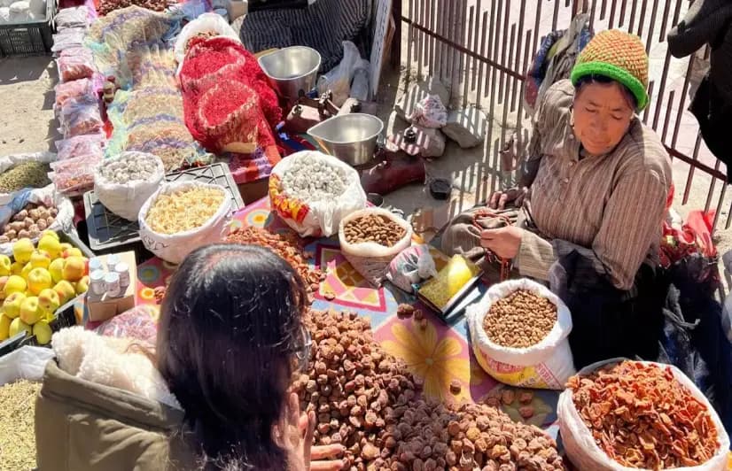 Tourism brings money to Ladakh but leaves agriculture and farming traditions behind