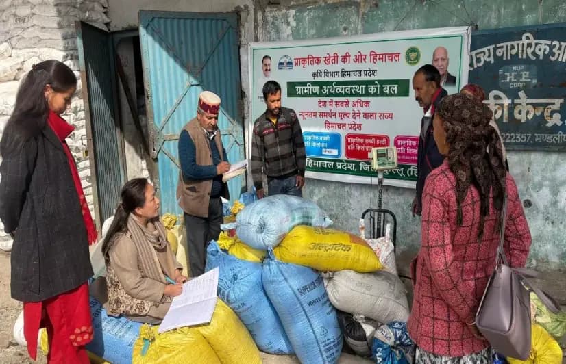 Himachal farmers turn to natural farming amid climate stress